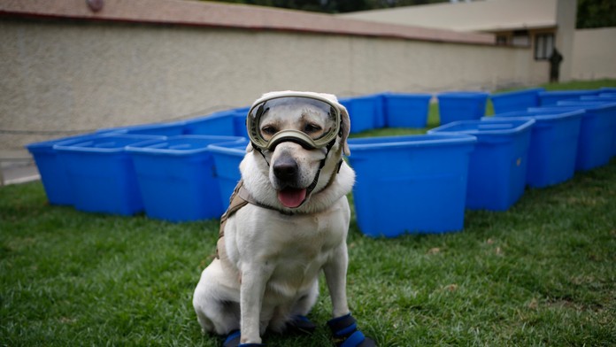 0507_Green_Lantern_05_07_P30_Pi_20_15__12.mp4