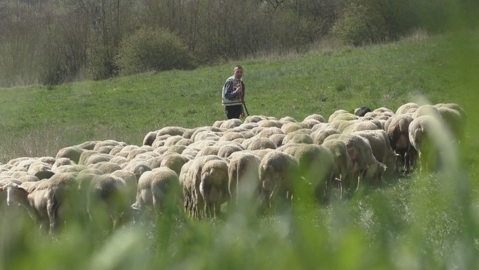 Ilustračná snímka.