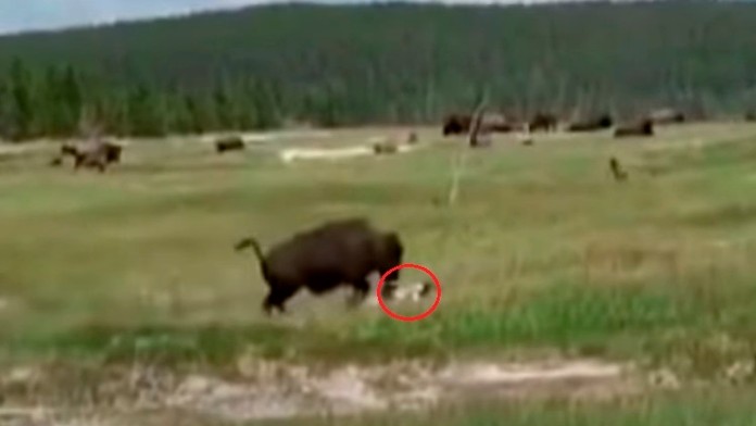 Kanye West na prvom stretnutí s voličmi neudržal slzy.