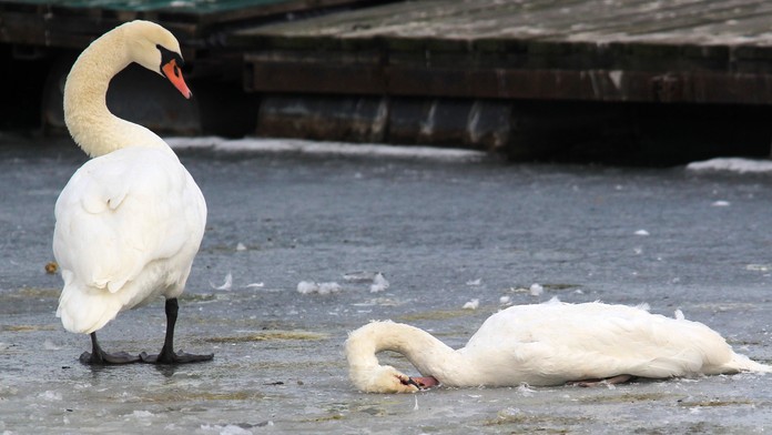 Bičan sa pochválil prvou fotkou s mladučkou priateľkou. Žiari šťastím