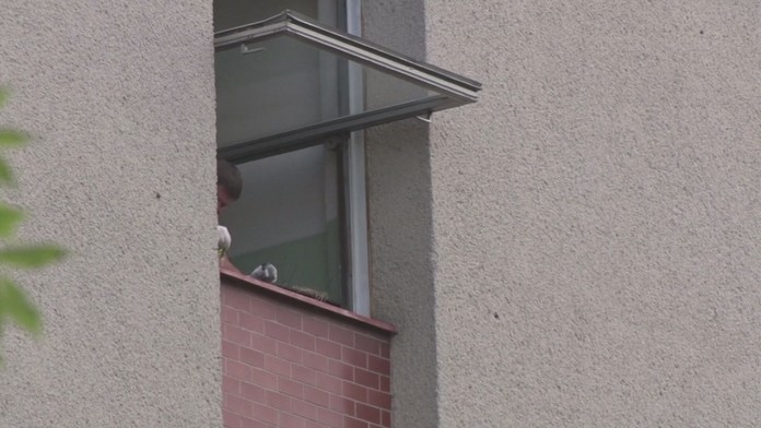 Ilustračná snímka.