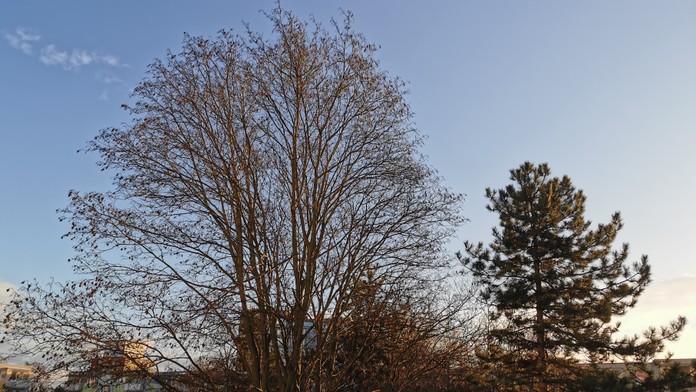 Nadpriemerne teplý Štedrý deň na Slovensku. Padli minimálne dva rekordy