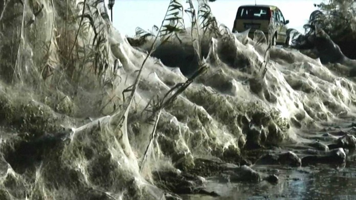 Pavúčie siete v meste Aitoliko.