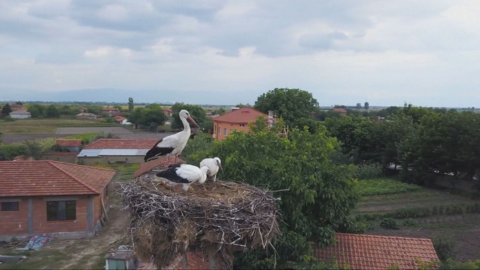 Bocianie hniezdo váži aj tonu a nie každý komín ho udrží. Ich trus navyše dokáže rozleptať aj vedenie