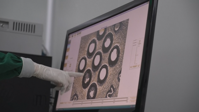 Geneticky modifikované embryá