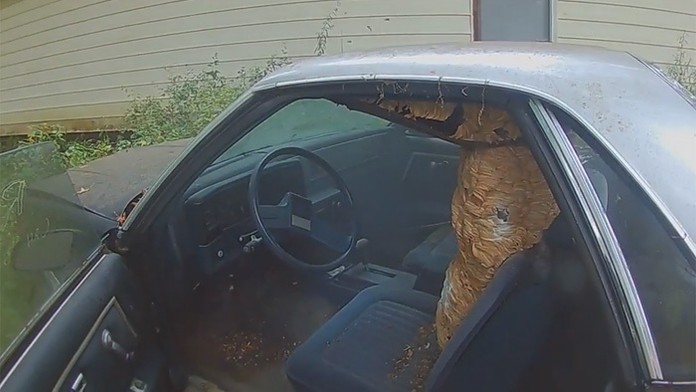 Sršne si za volantom vybudovali honosné sídlo.