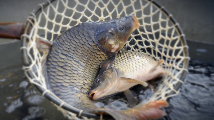 Ilustračná snímka.