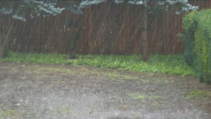 Dážď. Ilustračná snímka. 