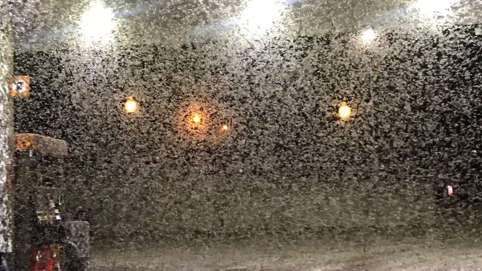 0907_Rodinne_pripady_09_07_P30_dnes_18_00__12___VOYO.mp4