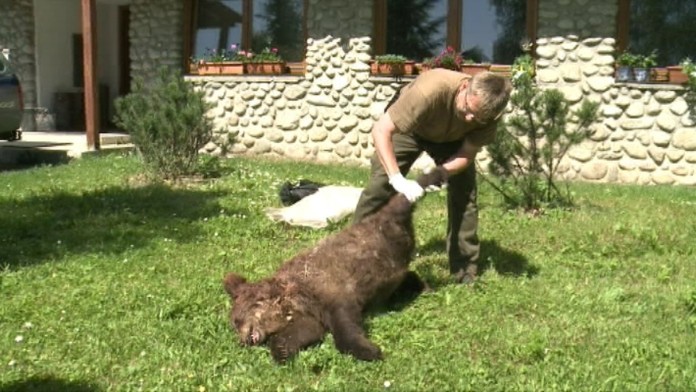 19 PP Medvedie cistky.transferweb_jpg_bez_watermarku_1.jpg