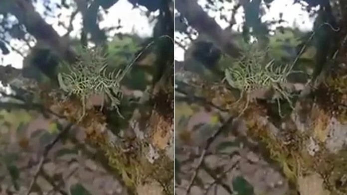 16 R vyhnila 2_tvnoviny.mp4