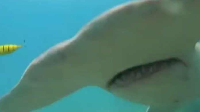 Vláda a 2. vlna pandémie.