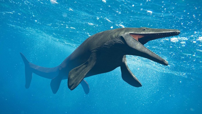 Jašter z čeľade mosasaurov (ilustračná snímka)