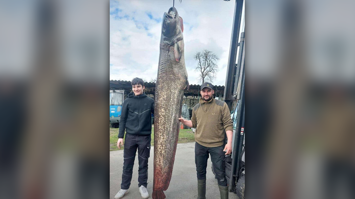 Rybár sa pochválil úlovkom, o akom sníva každý. Je to poriadne torpédo