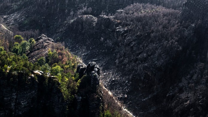 OBRAZOM: Rok po požiari v Českom Švajčiarsku. Krajina sa hojí, čierne jazvy sa pomaly začínajú zelenať