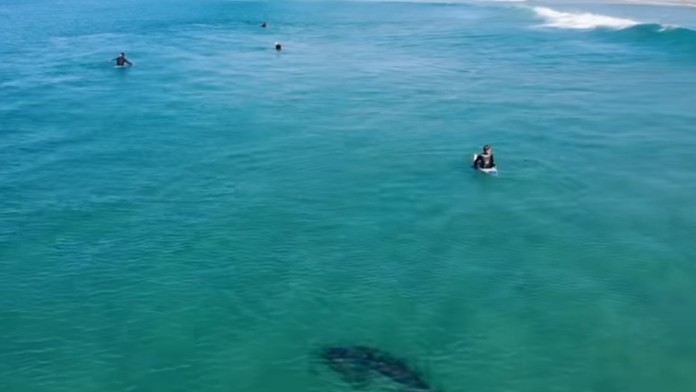 Pedofil 1: Telesnej postihnutej žene chcel pomôcť, za odmenu chcel zneužiť jej dcéry