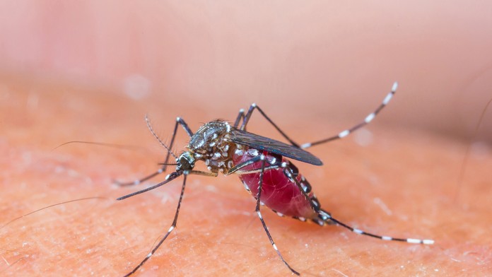 Ilustračná snímka.