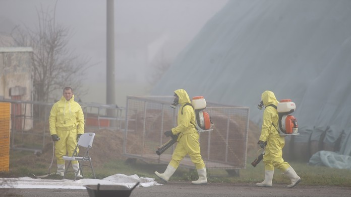 V pražskej zoo sa potvrdila vtáčia chrípka, budú platiť mimoriadne opatrenia