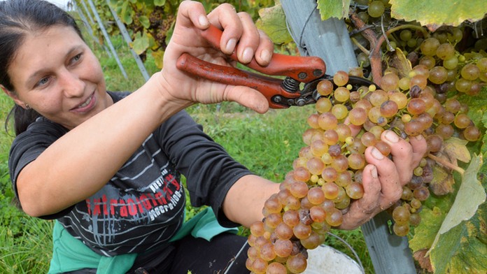 Ilustračná snímka.