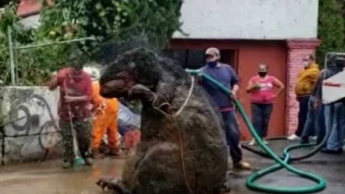 hdukazka_markiza_sk_bez_loga.mp4