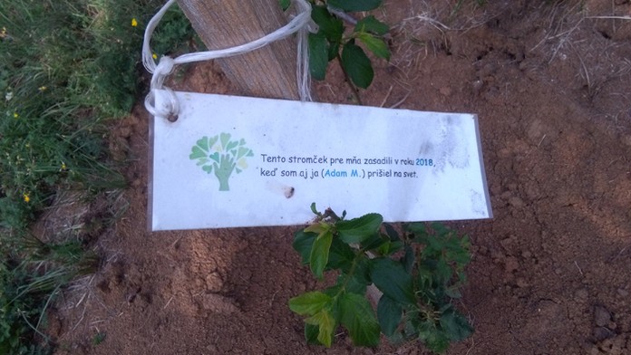 17_mindak_potomok_tvnoviny.mp4