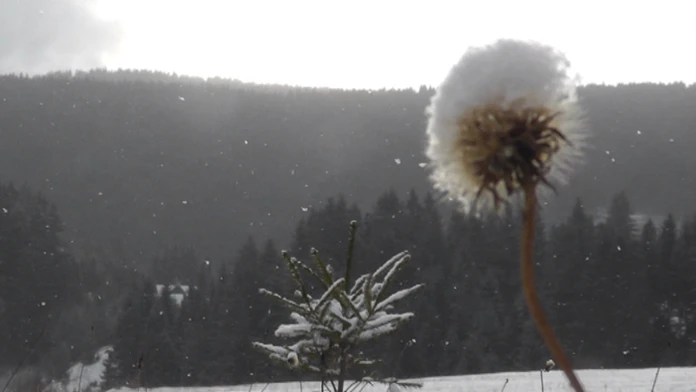 Ilustračná snímka.