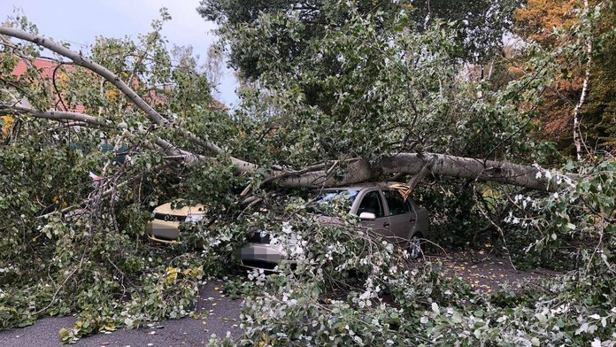 Najväčší tím mala dm drogerie markt. Umiestnili sa na treťom mieste za druhými Happy Kids a víťazmi Slovenských firemných hier L