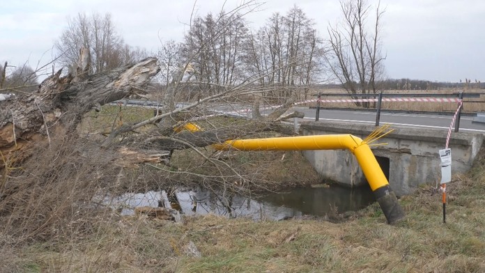 Medzi Malackami a obcou Veľké Leváre spadol na plynové potrubie mohutný strom.