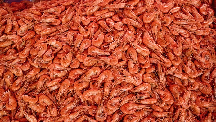 Látka z kreviet nadchla Ukrajincov. Podľa nich už dokázala zachrániť tisíce životov