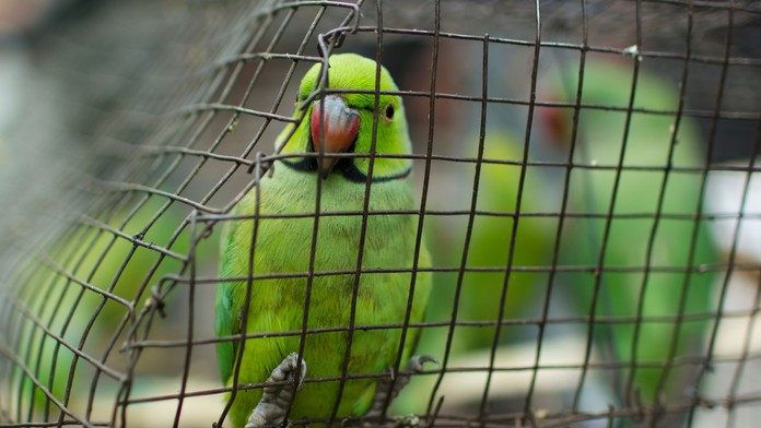 Ilustračná snímka.