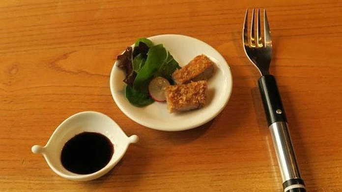 salt-flavoured-fork-large_trans++pJliwavx4coWFCaEkEsb3kvxIt-lGGWCWqwLa_RXJU8.jpg