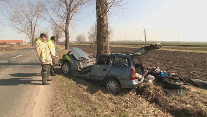 Srb vletel s autom do stromu.