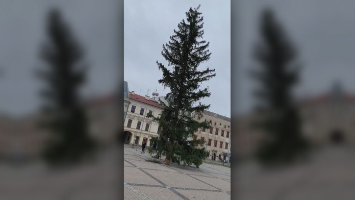 Hráči Leverkusenu oslavujú gól v LM na pôde Lokomotivu Moskva.