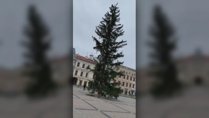 Hráči Leverkusenu oslavujú gól v LM na pôde Lokomotivu Moskva.