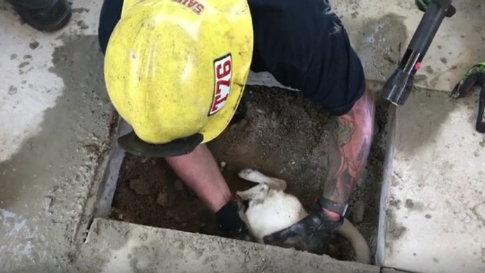 Nicole Kidman sa dočkala. Po rokoch si konečne splnila detský sen!