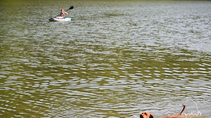 Skrytá hrozba v rekreačnej oblasti na západe Slovenska. Vo vodnej nádrži potvrdili výskyt nebezpečného parazita