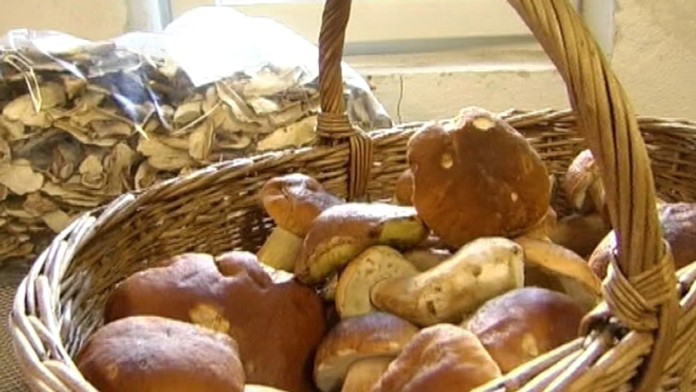 Sušené hríby v susičke.