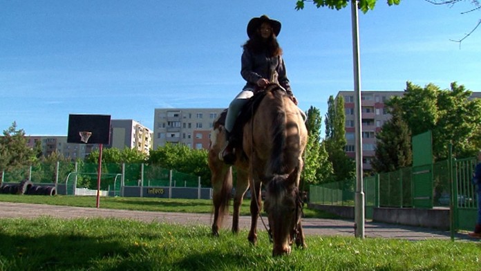 Kôň ako vyučovacia pomôcka.