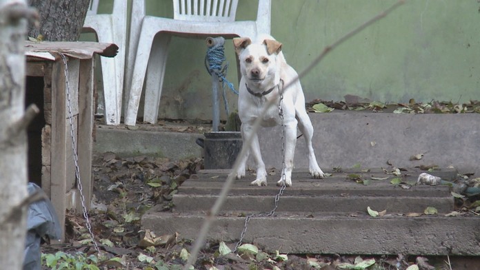 Martin Šmahel a Jakub Zitron Ťapák