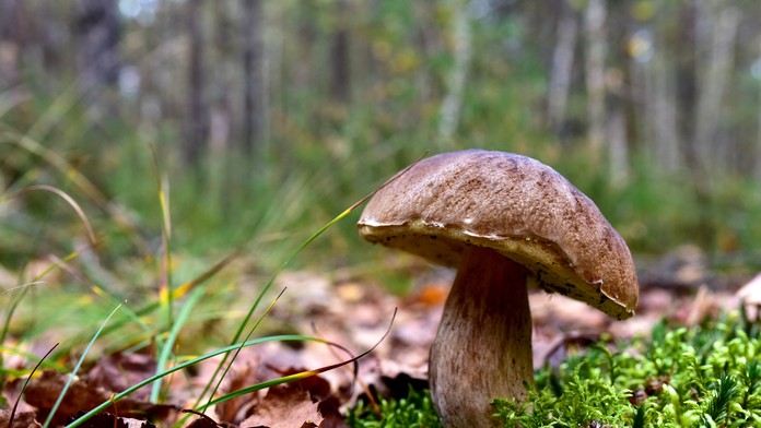 Ilustračná snímka.