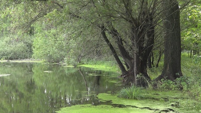 Napriek kanalizácii ho čaká obvinenie. 