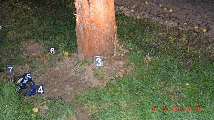 Motorkár nemal žiadny vodičák, opitý narazil do stromu.