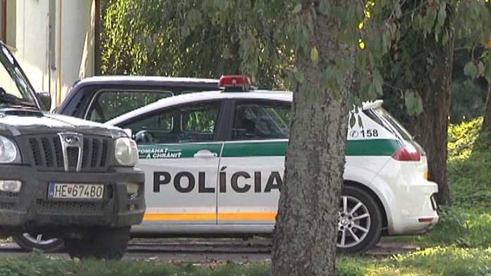 Život zachytený pod mikroskopom.