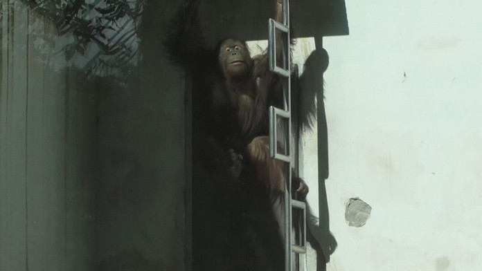 19 lubka zivak_tvnoviny.mp4