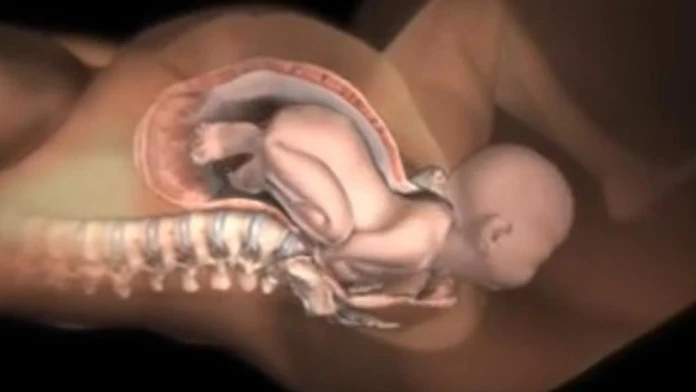 birthingvideo2.jpg