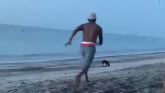 Muž sa rozbieha smerom k psovi s úmyslom ho kopnúť.