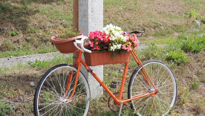 Verejné priestranstvá v obci Beluj vyzdobili netradične. Staré a nepotrebné bicykle premenili na netradičné stojany s kvetinami.