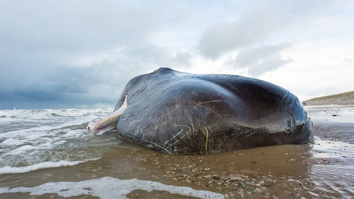 Ilustračná snímka. 