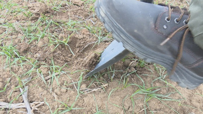 sucho hlava_tvnoviny.mp4