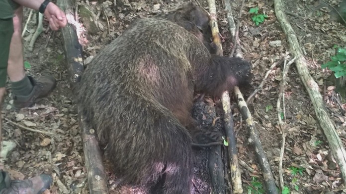 Ilustračná snímka.